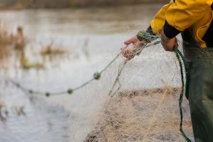Tourisme Vallée de la Loire, près de l'Hôtel Spa Restaurant Fleur de Loire à Blois