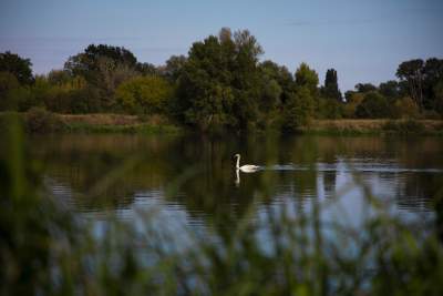 Turismo en el Valle del Loira, Hotel Fleur de Loire en Blois