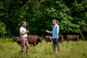 Fleur de Loire, Hotel de lujo del Valle del Loira, Blois