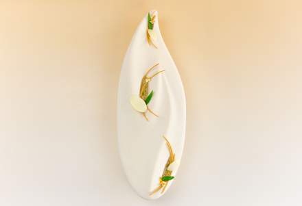 bûche signature