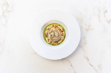 oignon