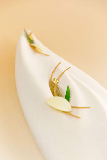 buche signature